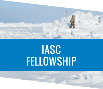 IASC Fellowship
