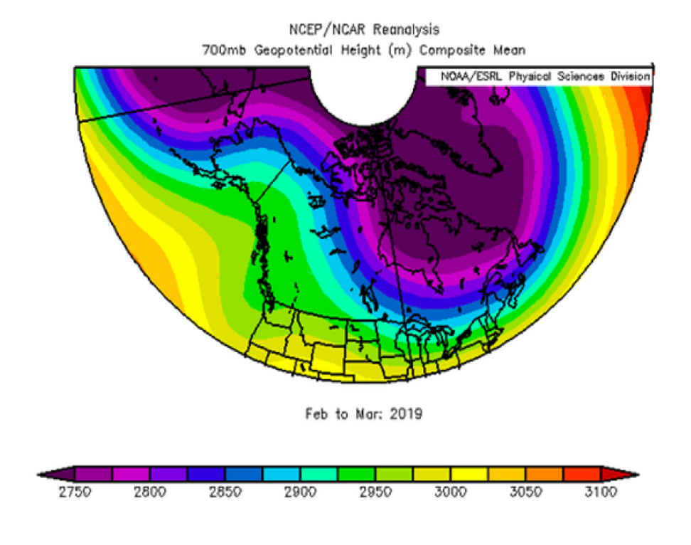 PolarVortex