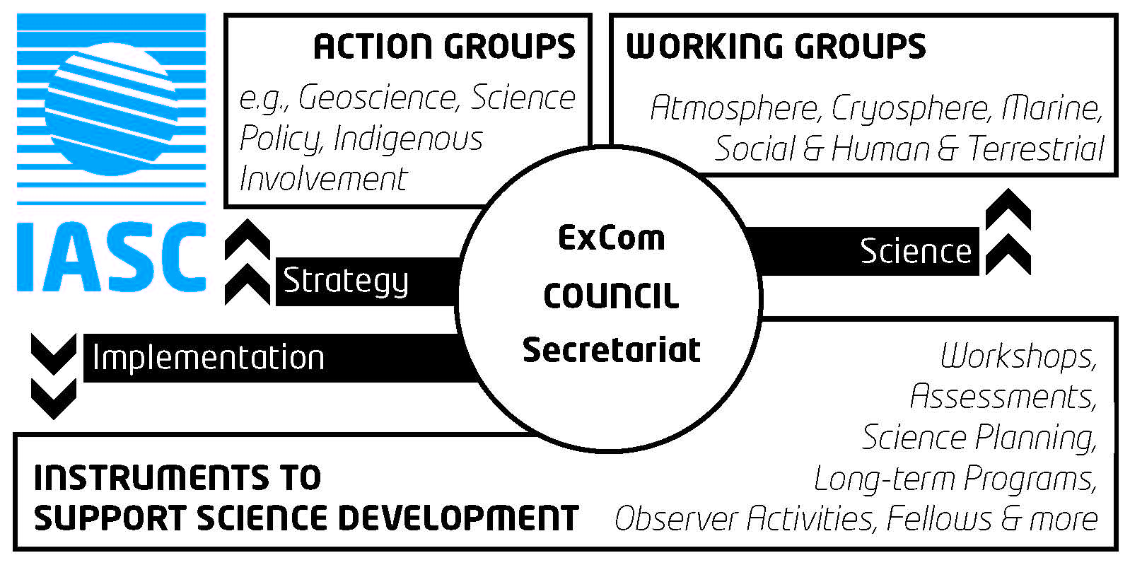 IASC Org Chart