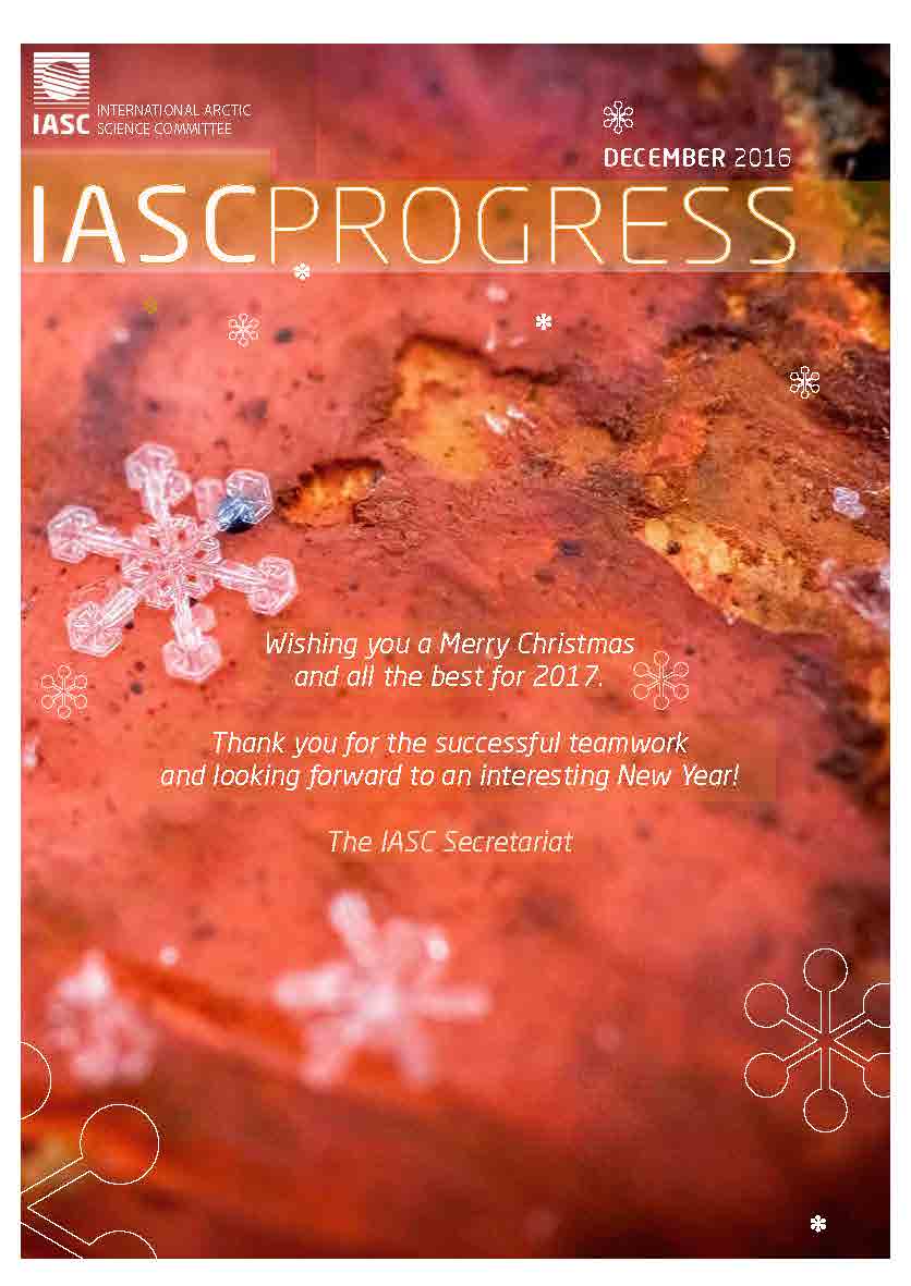 IASCProgress Xmas2016