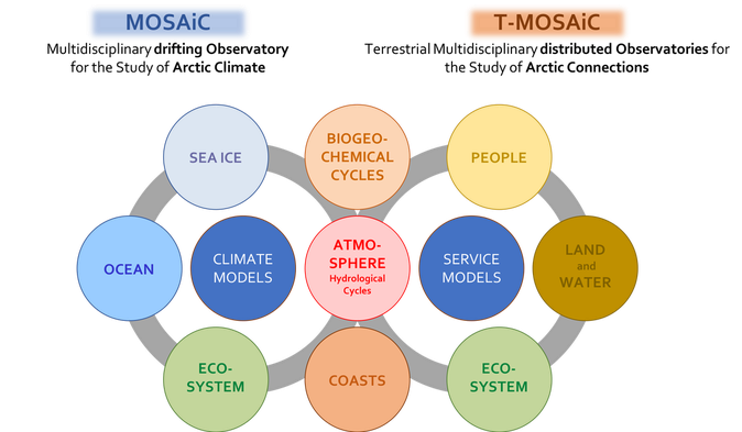 T Mosaic