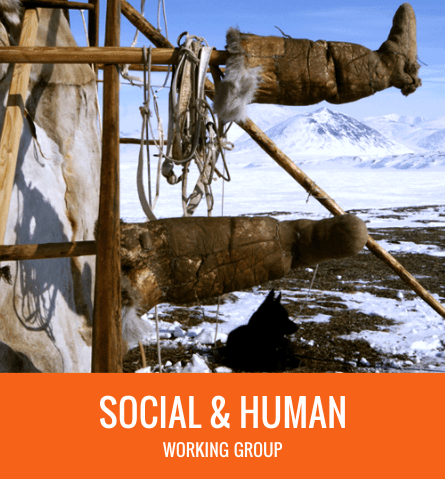 Social & Human Working Group
